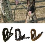 Nylon Tactical Military Police Dog Leash